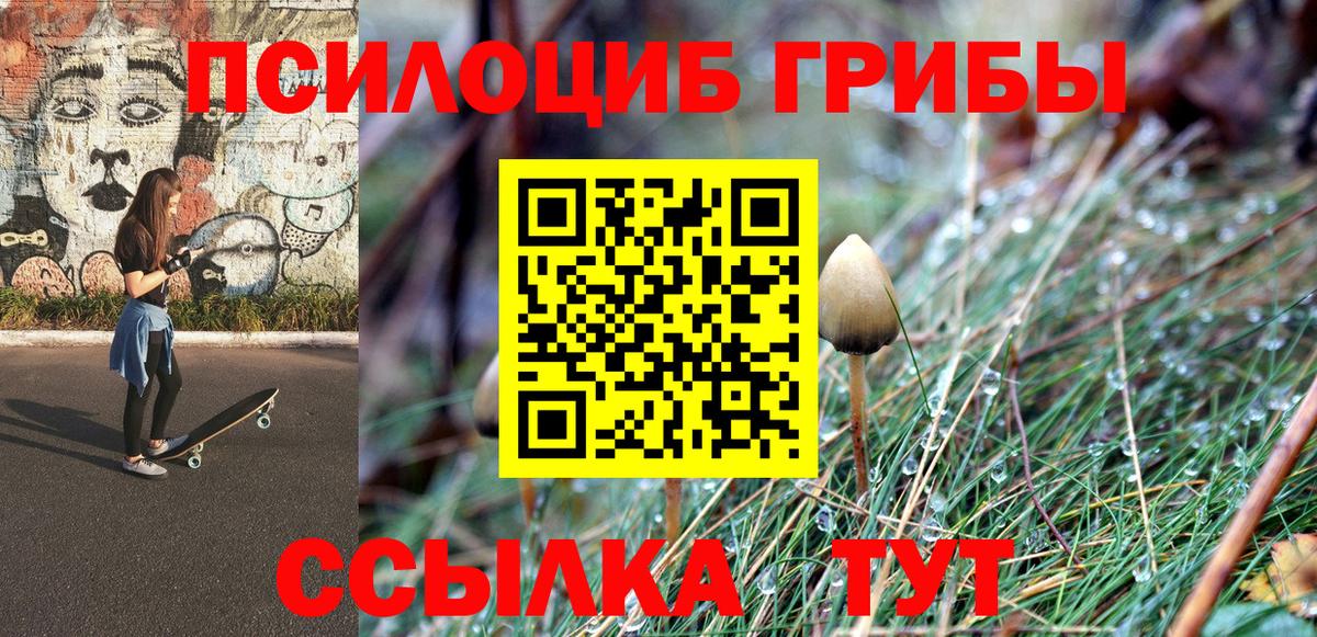 Псилоцибиновые грибы прущие грибы  Вход с VPN  Псилоцибиновые грибы Psilocybine cubensis  купить  сайты  Амурск 