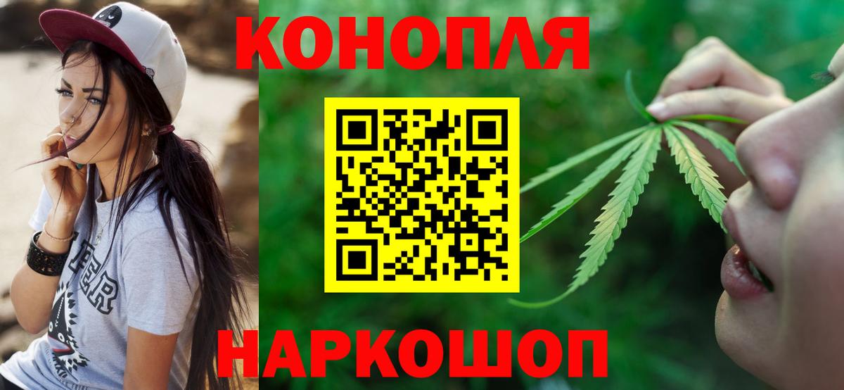 Каннабис планчик  Бошки марихуана планчик  Амурск  Вход с VPN  Бошки марихуана семена 